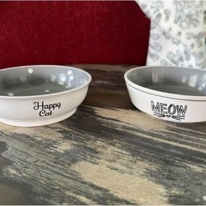 Ceramic cat dishes